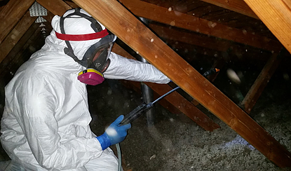 attic decontamination